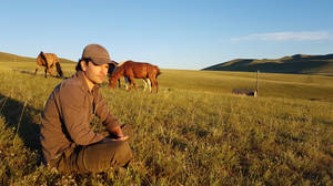 Graham Wardle In Horse Field Wallpaper