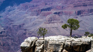 Grand Canyon Plateau Wallpaper