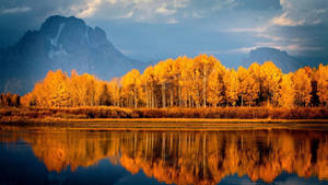 Grand Teton Park Autumn Macbook Wallpaper