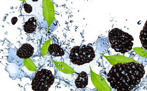 Graphic Design Boysenberry Wallpaper