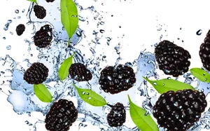 Graphic Design Boysenberry Wallpaper