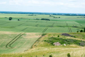 Grass Field In Lithuania Wallpaper