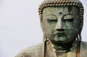 Gray Concrete Statue Of Buddha Hd Wallpaper