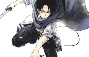 Gray Levi Ackerman Attack On Titan Fan Art Wallpaper