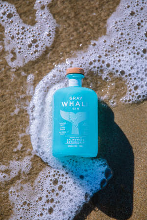 Gray Whale Gin Laying Wallpaper