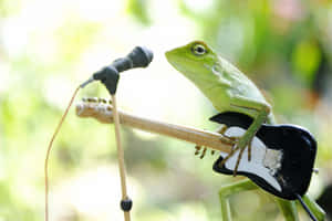 Green Anole Guitarist Performance Wallpaper