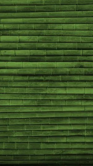 Green Bamboo Stalks Iphone Wallpaper