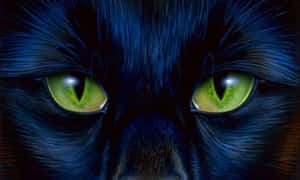 Green Beasty Cat Eyes Wallpaper