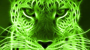 Green Cheetah Lights Wallpaper