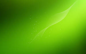 Green Dust Gradient Wallpaper