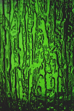 Green Embossed Phone Wallpaper