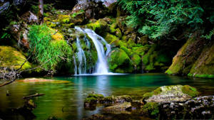 Green Falls Scenery Wallpaper