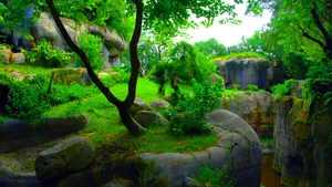 Green Garden Landscape Wallpaper