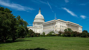 Green Grass Field United States Capitol Wallpaper