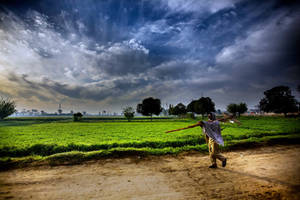 Green Grassland Agriculture Wallpaper