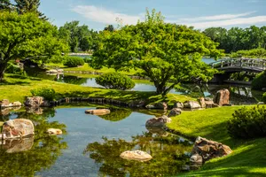 Green Landscape Wallpaper