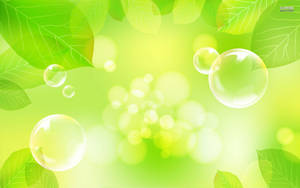 Green Leaves And Bubbles Wallpaper