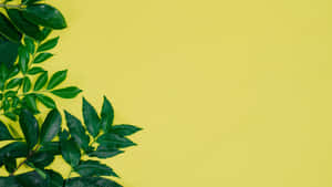 Green Leaves And Flowers On A Yellow Background Wallpaper