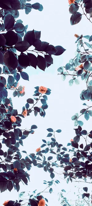 Green Leaves Best Smartphone Wallpaper