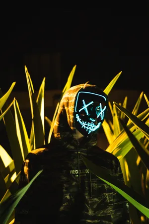 Green Leaves Lights Anonymous Wallpaper