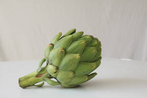 Green Lone Globe Artichoke Vegetable Wallpaper