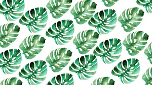 Green Monstera Leaves Pattern Wallpaper
