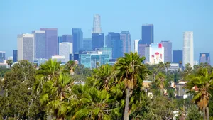 Green Palm Trees Of Los Angeles Skyline Wallpaper