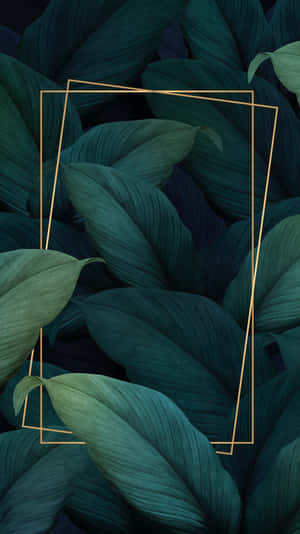 Green Plant Aesthetic Banner Wallpaper
