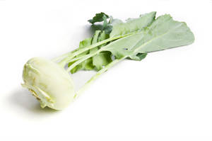 Green Plant Kohlrabi Wallpaper