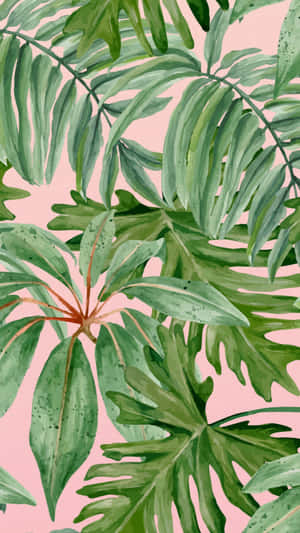 Green Plant Pink Aesthetic Wallpaper