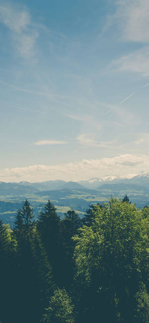 Green Sky Mountains And Trees Wallpaper