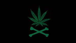 Green Stoner Bones Wallpaper