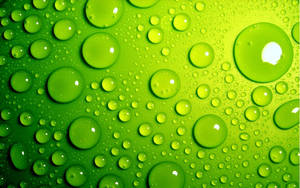 Green Waterdrops Wallpaper