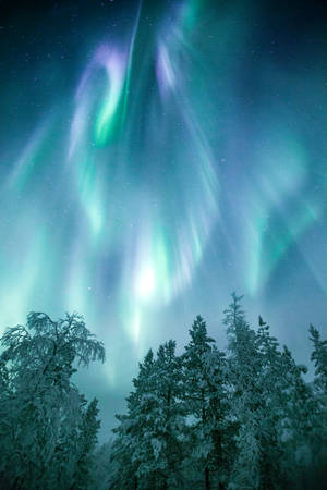 Greenish Purple Aurora Borealis Finland Wallpaper