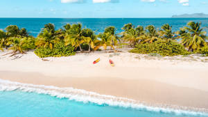 Grenada Yellow Boats Wallpaper