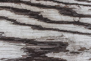 Grey And Black Textured Wood Wallpaper