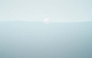 Grey Neutral Desktop Wallpaper