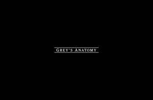 Grey's Anatomy Opening Title Wallpaper
