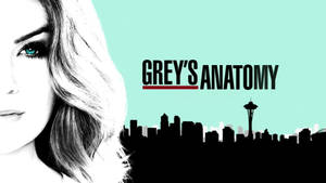 Grey's Anatomy Season 13 Wallpaper