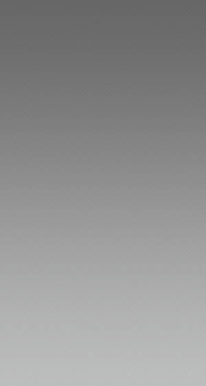 Grey White Gradient Vertical Cover Wallpaper
