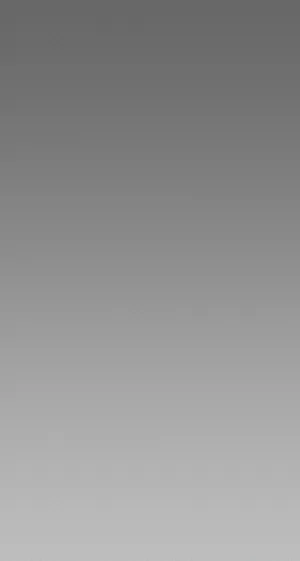 Grey White Gradient Vertical Cover Wallpaper