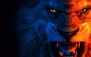 Growling Blue And Red Lion Laptop Wallpaper