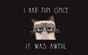 Grumpy Cat - I Had Fun Once It Was Awful Wallpaper