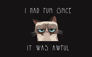Grumpy Cat - I Had Fun Once It Was Awful Wallpaper