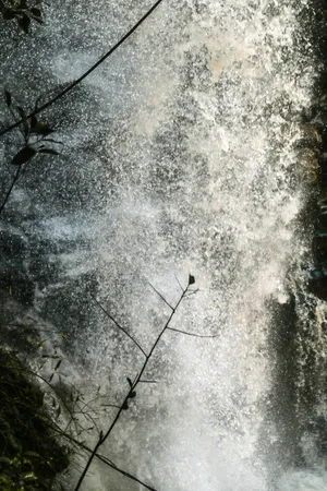 Grunge Aesthetic Forest Waterfall Wallpaper