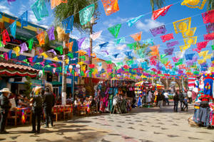 Guadalajara Plaza Santa Cecilia Wallpaper