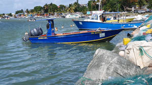 Guadeloupe Blue Fishing Boat Wallpaper