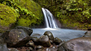 Guadeloupe Cascading Waterfalls Wallpaper