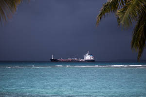 Guadeloupe Fish Tanker Wallpaper