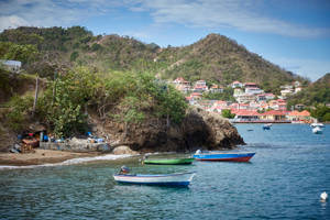 Guadeloupe Fishing Boats Wallpaper